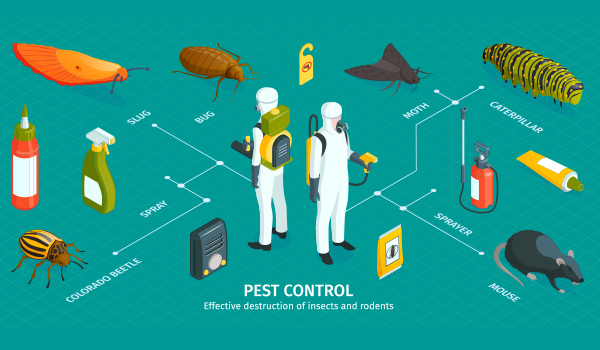 peste control services